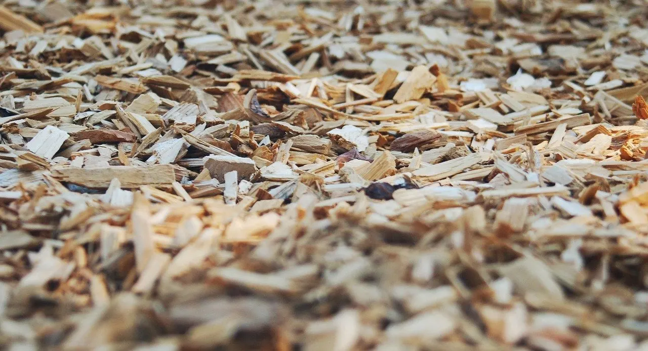 Nahaufnahme von hellbraunen Holzhackschnitzeln, die flächig auf dem Boden liegen.