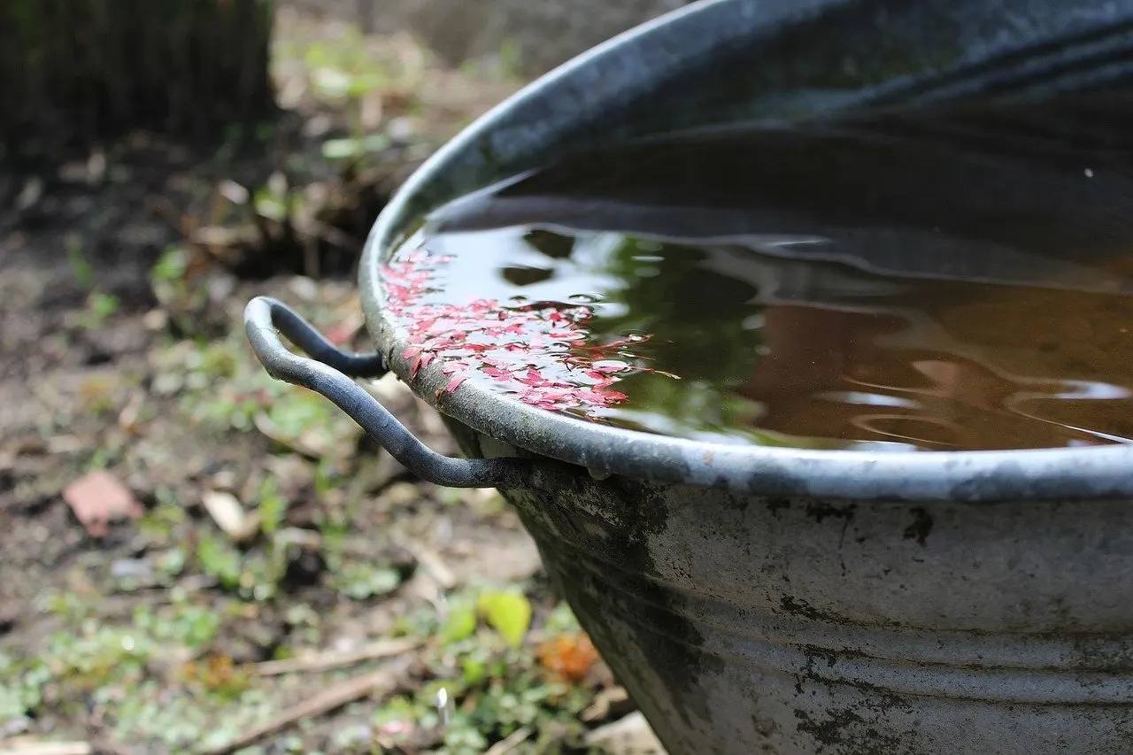 Metallwanne mit Wasser und rosafarbenen Blütenblättern im Garten, Henkel sichtbar.